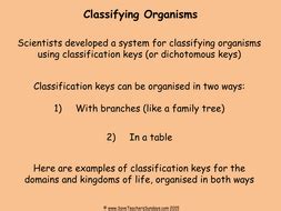 Image result for Making Classification Key KS2