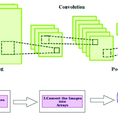 Image result for Deep Learning Algorithms Brain Tumor