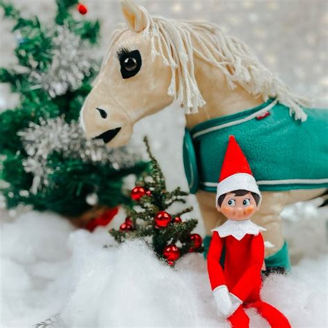 Millbrook Tack (@millbrooktack) • Instagram photos and videos