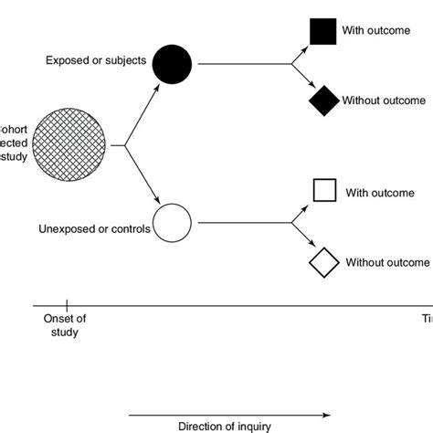Cohort Study Examples 的图像结果