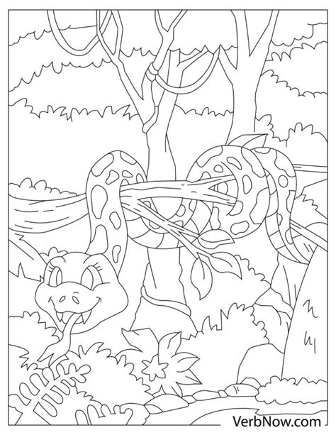 Image result for Burmese Python Colouring