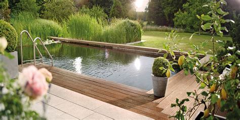 Pond 的图像结果