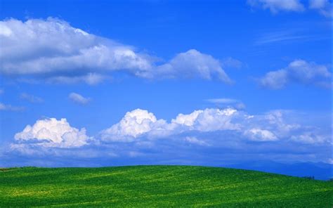蓝天白云草地唯美自然风景桌面壁纸-壁纸图片大全