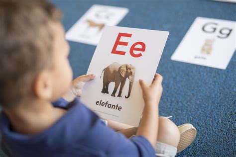 Image result for Structure and Function Children