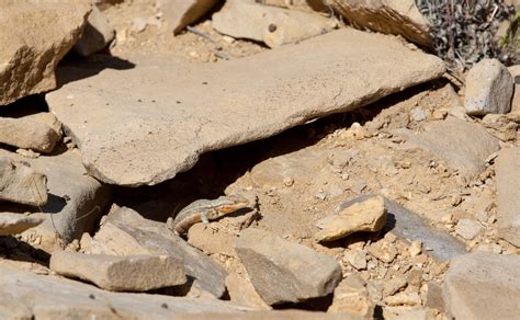 Zwischen Rock Springs und Point of Rocks WY