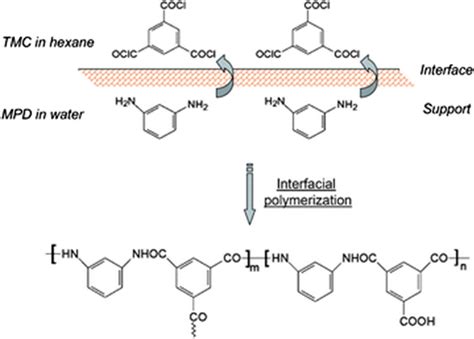 Image result for Polymerization Reaction