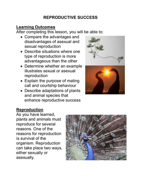 Image result for Asexual Reproduction Examples