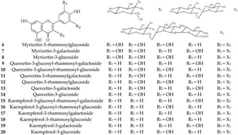 Green Tea (Camellia sinensis): A Review of Its Phytochemistry ...