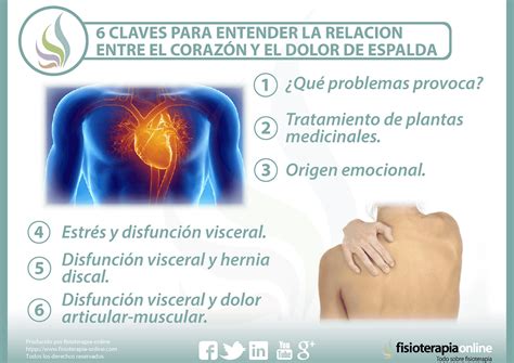 Cómo cambiar la dirección de mi licencia en Florida: guía y requisitos ...