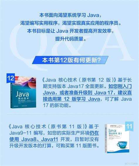 Java Rivision 的图像结果