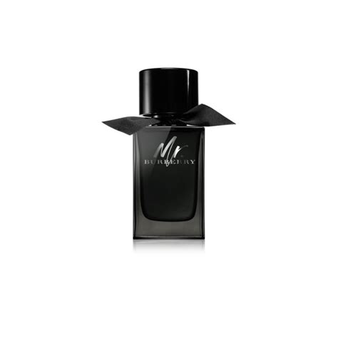 Burberry Mr.Burberry Eau de Parfum for Men – Perfume Network India