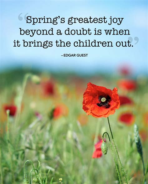 Image result for Spring Refeletion