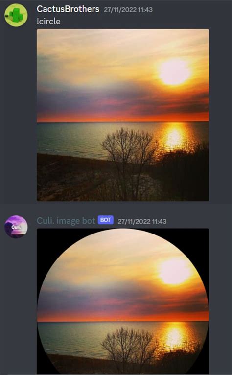 Image result for Simple Discord Bot Python