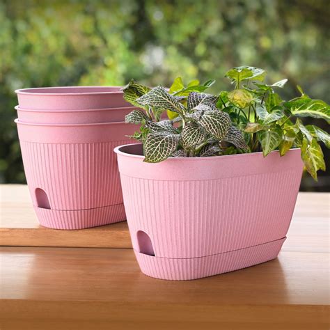 Eva Planter 11.5"-Set of 4 – My Store