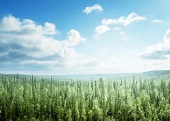 Espresso Surveys Archive