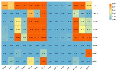 Plants | Special Issue : Plant Molecular Phylogenetics and Evolutionary ...