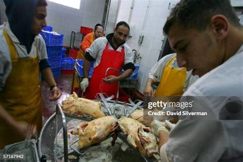 Image result for Processing Geese