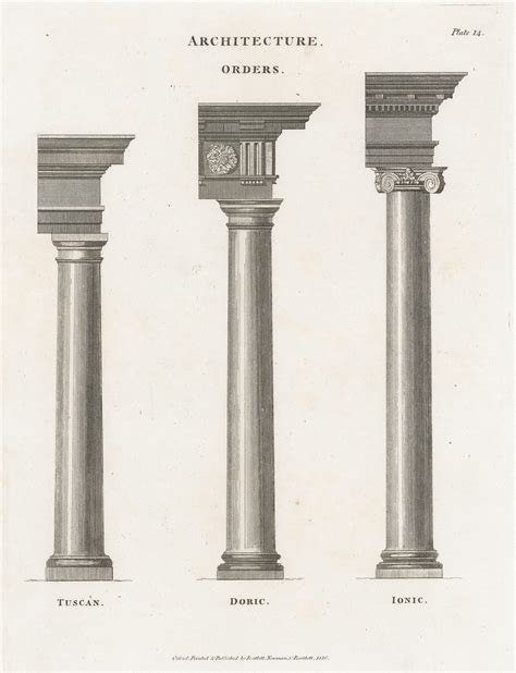 Order Ionic Vs Doric Order Capitals Of Classical Antiquity: Understand