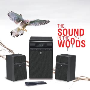 iBall Tarang Classic 40 Watt 2.1 Channel Wireless Bluetooth Multimedia ...