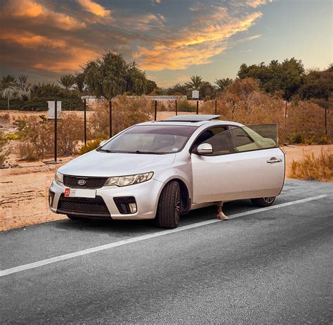 Image result for Portrait Color Grading