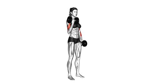 Female dumbbell alternate biceps curl video guide tips – Artofit