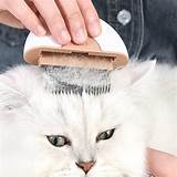 Buy Cat Combs for Indoor Cats Fleas Cat Flea Comb Stainless Steel, Lice ...