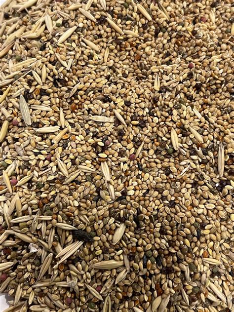 Buy Aquatic Kart Premium Seed Mix for Finches, Budgies, Sparrow, Love ...