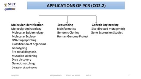 Image result for PCR Introduction