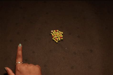 Stop Motion Animation Cooking 的图像结果