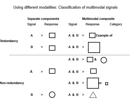 Image result for Transition Matrix in Animal Behavior