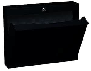 Datum Storage Intellerum LapTop Locker with Keyed Lock, Black : Amazon ...
