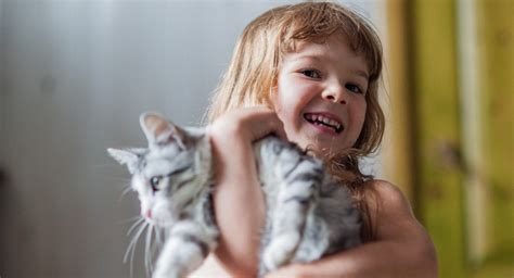 Thinking about getting a family pet? Here's how to pick one that fits ...