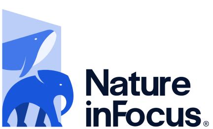 Vana Katha, Stories of Culture, Rooted in Nature