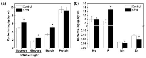 Effects of Zerovalent Iron Nanoparticles on Photosynthesis and ...