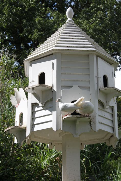 DIY Birdhouse: How to Build a Dovecote