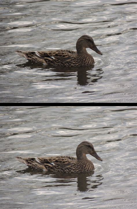 Image result for Coolpix P510 Tutorial