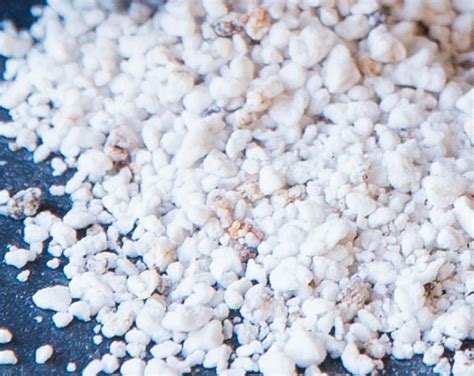 Create the Perfect Potting Mix with our DIY Soilless Potting Mix Kit