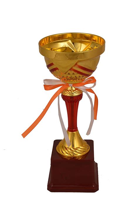 TROPHY JUNCTION Metallic-Fiber Open Cup Trophy (Gold, 24.1 cm) : Amazon ...