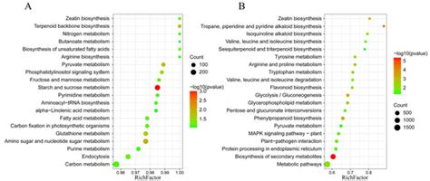 Plants | Special Issue : Role of Epigenetics and Epigenomics in Plant ...