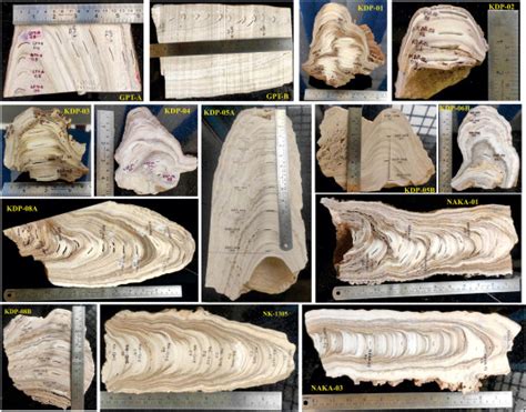 IITM: Current Research Highlights