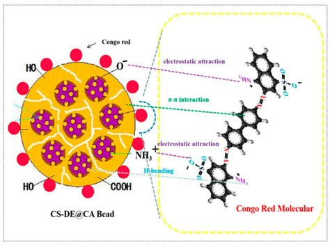 Preparation of Chitosan-Diatomite/Calcium Alginate Composite Hydrogel ...