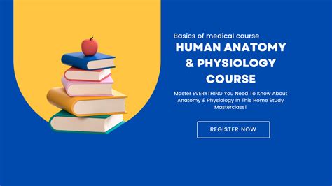 university lesson plans| human anatomy & physiology (Human_anatomy_and_physiology) – Profile ...