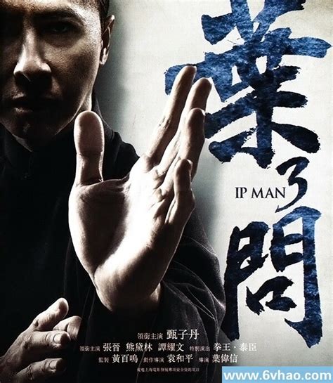 叶问4(Ip Man 4)-电影-腾讯视频