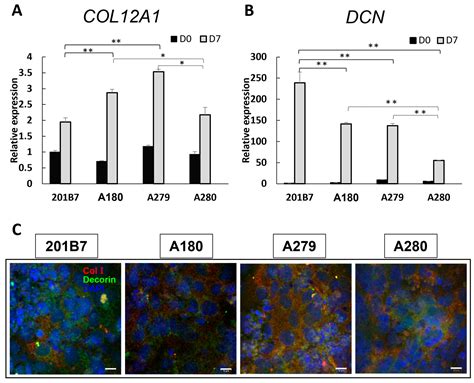 Pathophysiological Investigation of Skeletal Deformities of ...