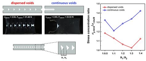 Enhanced Rupture Force in a Cut-Dispersed Double-Network Hydrogel