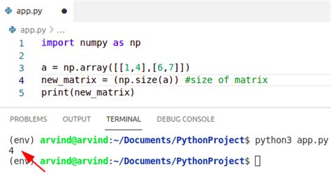 Numpy Matrix Examples 的图像结果