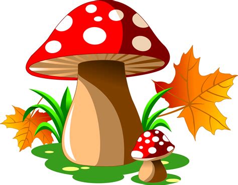Mushroom clipart mushroom tree, Mushroom mushroom tree Transparent FREE ...