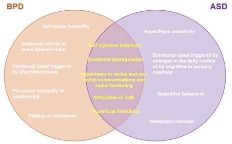 Comorbidity and Overlaps between Autism Spectrum and Borderline ...