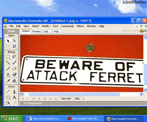 Image result for Compaq Computer Windows XP