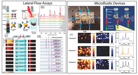 Recent Advancement in the Surface-Enhanced Raman Spectroscopy-Based ...